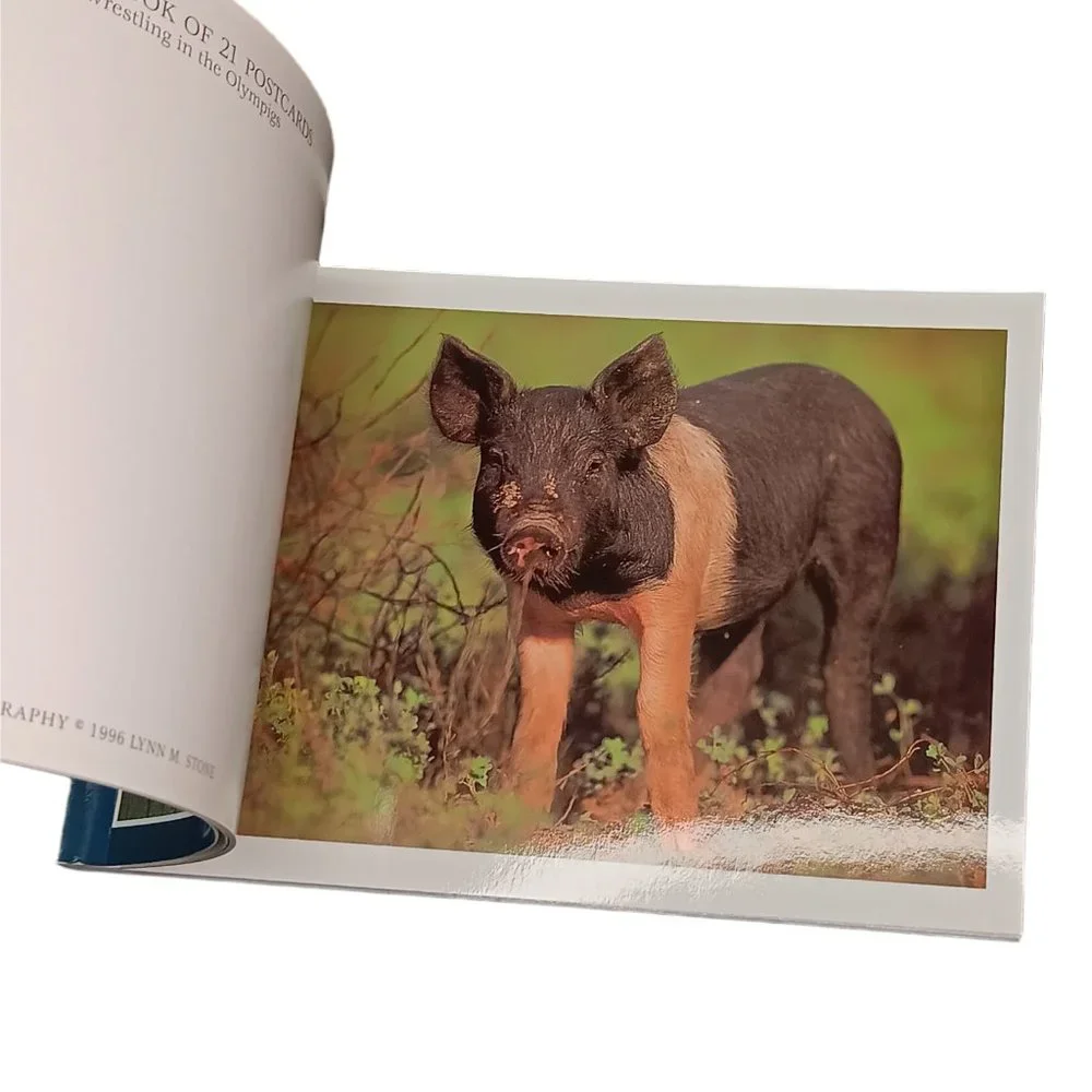 Pigs Book Of Postcards Set Of Two 21 and 30 Postscards Vintage Ephemera
